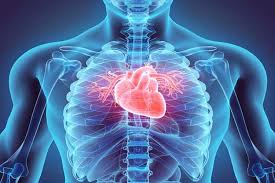 Endocardite infettiva Tunisia - Terapia antibiotica e chirurgia