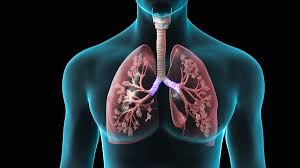 Pneumopatia ipossiemiante - gestione respiratoria in Tunisia